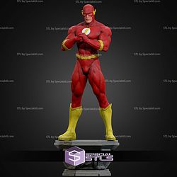 The Flash Museum Various STL Files