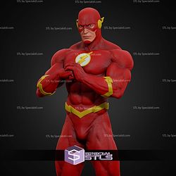 The Flash Museum Various STL Files