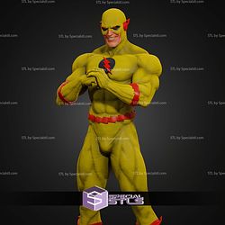The Flash Museum Various STL Files