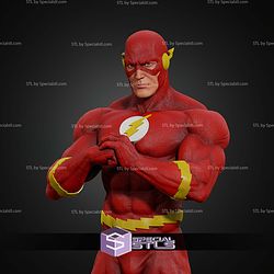 The Flash Museum Various STL Files
