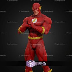 The Flash Museum Various STL Files