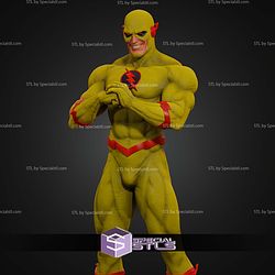 The Flash Museum Various STL Files