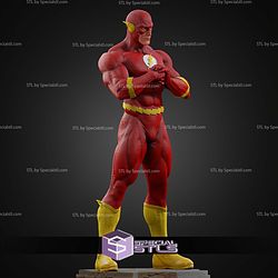 The Flash Museum Various STL Files
