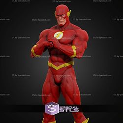 The Flash Museum Various STL Files