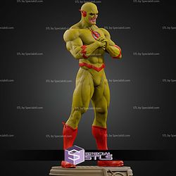 The Flash Museum Various STL Files