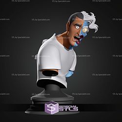 Two Face Hospital Animated Series Bust STL Files