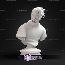 Two Face Hospital Animated Series Bust STL Files