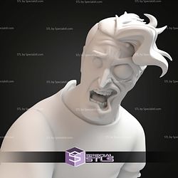 Two Face Hospital Animated Series Bust STL Files