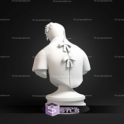 Two Face Hospital Animated Series Bust STL Files