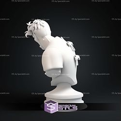 Two Face Hospital Animated Series Bust STL Files