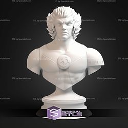 Tygra ThunderCats Animated Bust STL Files