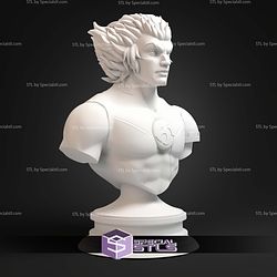 Tygra ThunderCats Animated Bust STL Files