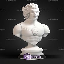 Tygra ThunderCats Animated Bust STL Files