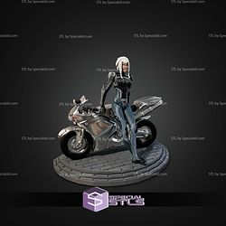 Warframe 1999 Aoi Morohoshi STL Files