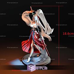 Wuthering Waves Hiyuki STL Files