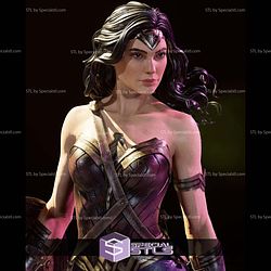 Wonder Woman Gal Gadot Museum Pose STL Files