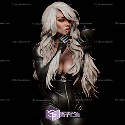 Black Cat Attractive 1 6 STL Files