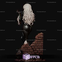 Black Cat Attractive 1 6 STL Files