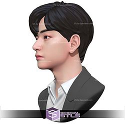 BTS Bust Bundle STL Files