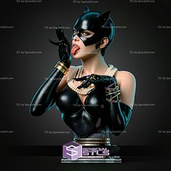 Catwoman Portrait Bust V2 300mm STL Files