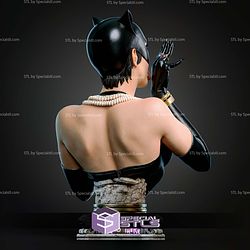 Catwoman Portrait Bust V2 300mm STL Files