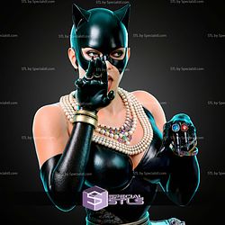 Catwoman Portrait Bust V2 300mm STL Files