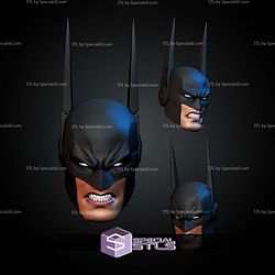 Custom Head Collection Absolute Batman STL Files