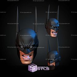 Custom Head Collection Absolute Batman STL Files
