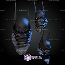 Custom Head Collection Absolute Batman STL Files