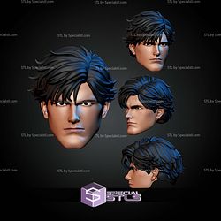 Custom Head Collection Absolute Batman STL Files