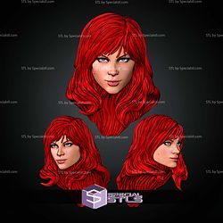 Custom Head Collection Black Widow Phil Noto Version STL Files