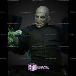 Dark Lord Voldermort 300mm STL Files