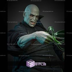 Dark Lord Voldermort 300mm STL Files