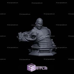 Dark Lord Voldermort Bust STL Files