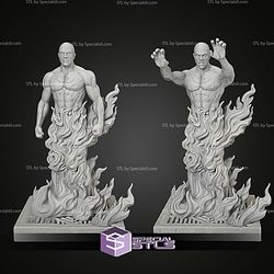 Dr William Weir 210mm STL Files