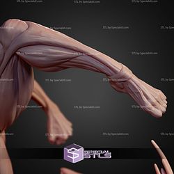 Female Titan Kick Pose 244mm STL Files