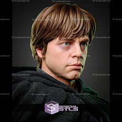 Luke Skywalker 325mm STL Files