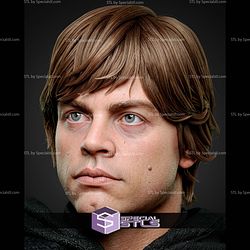 Luke Skywalker 325mm STL Files