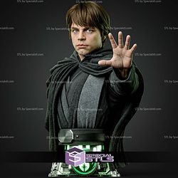 Luke Skywalker Portrait Bust 265mm STL Files
