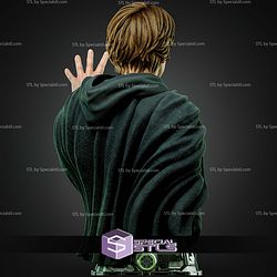 Luke Skywalker Portrait Bust 265mm STL Files