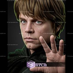 Luke Skywalker Portrait Bust 265mm STL Files