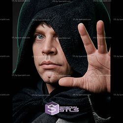 Luke Skywalker Portrait Bust 265mm STL Files