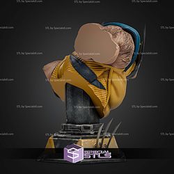 Marvel Wolverine PS5 Bust 221mm STL Files