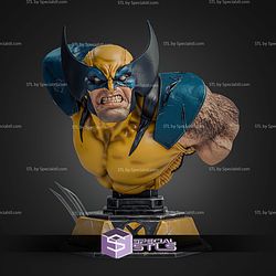 Marvel Wolverine PS5 Bust 221mm STL Files