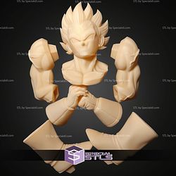 Muscle Vegeta Basic STL Files