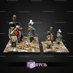 Napoleon Army Campaign STL Files