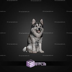 Siberian Husky STL Files