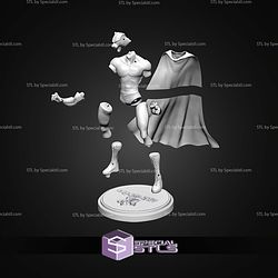 The Tiger Mask Basic STL Files