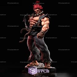 Akuma Standing from Street Fighter