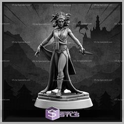 July 2022 C27 Collectibles Miniatures